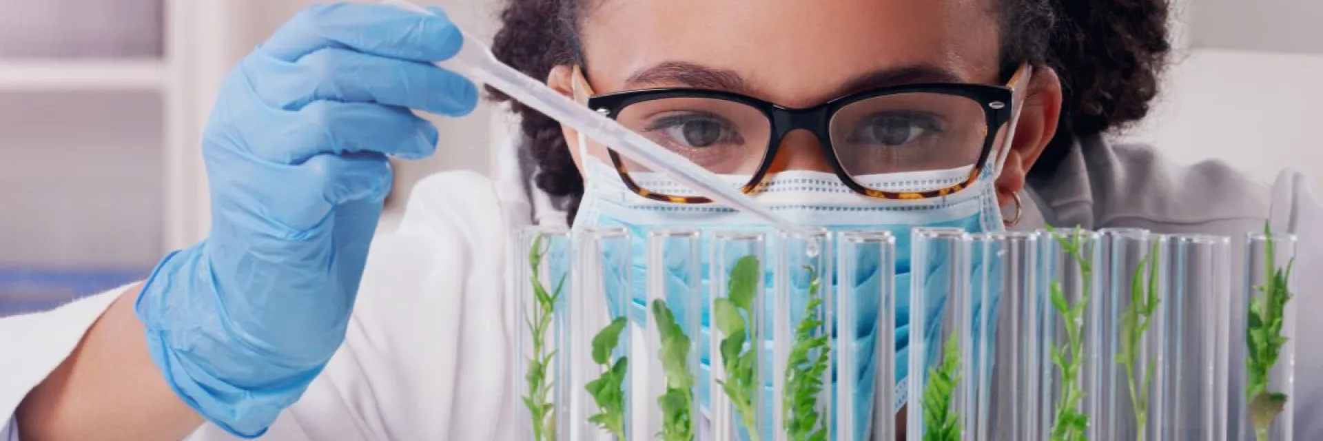 Laboratory researcher conducting experiments with plant samples in test tubes, illustrating biotechnology, sustainable innovation, and advanced life sciences supported by the Strategic Technologies for Europe Platform.