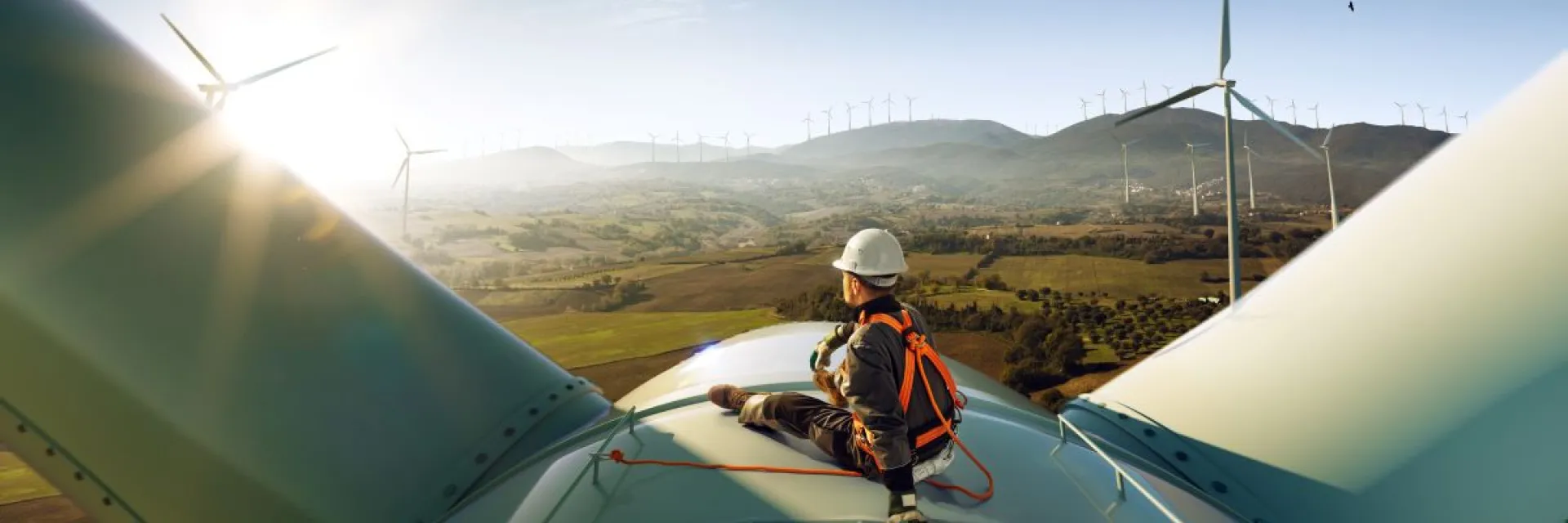 Technician on top of a wind turbine overlooking a landscape of renewable energy installations, symbolizing clean technologies, green energy transition, and sustainable power solutions promoted by the Strategic Technologies for Europe Platform.