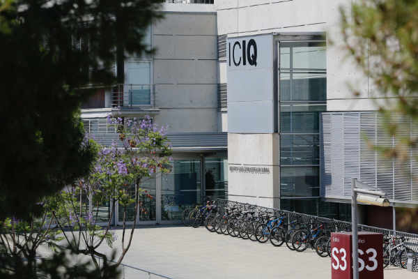 Exterior view of the Institute of Chemical Research of Catalonia (ICIQ) building, featuring its name on the facade, bicycles parked outside, and trees with purple blossoms in the foreground.
