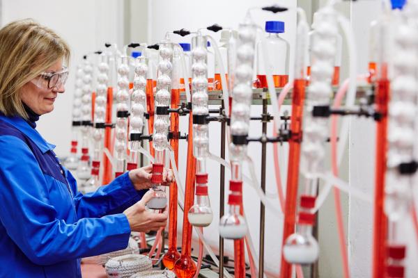 Close-up of several tubes in a laboratory